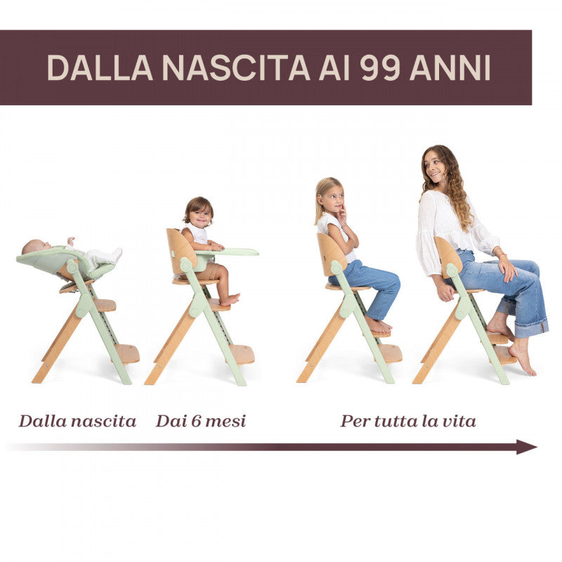 Silla Evolutiva Chicco Meraviglia Ebony
