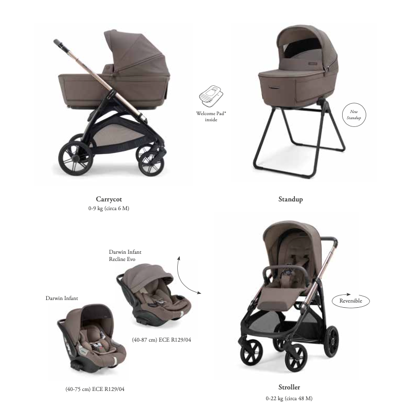 Dúo Inglesina System Quattro Aptica Darwin Infant