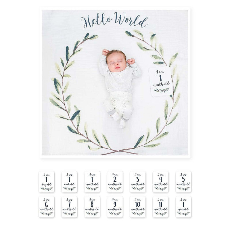 Portada Primer Año - Hello World