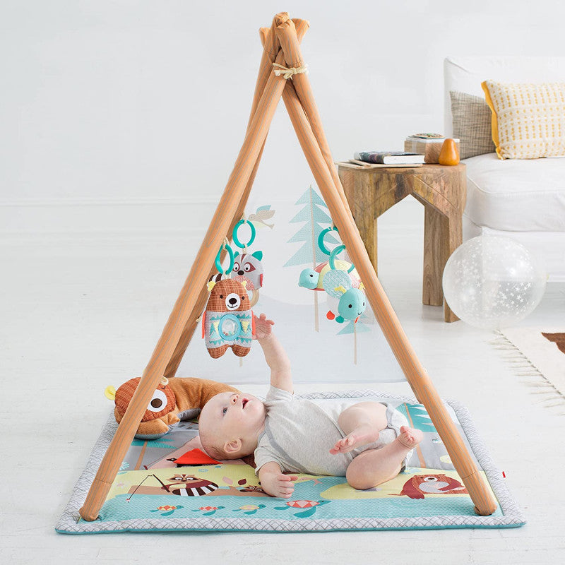 Tienda Gimnasio - Cachorros de Camping